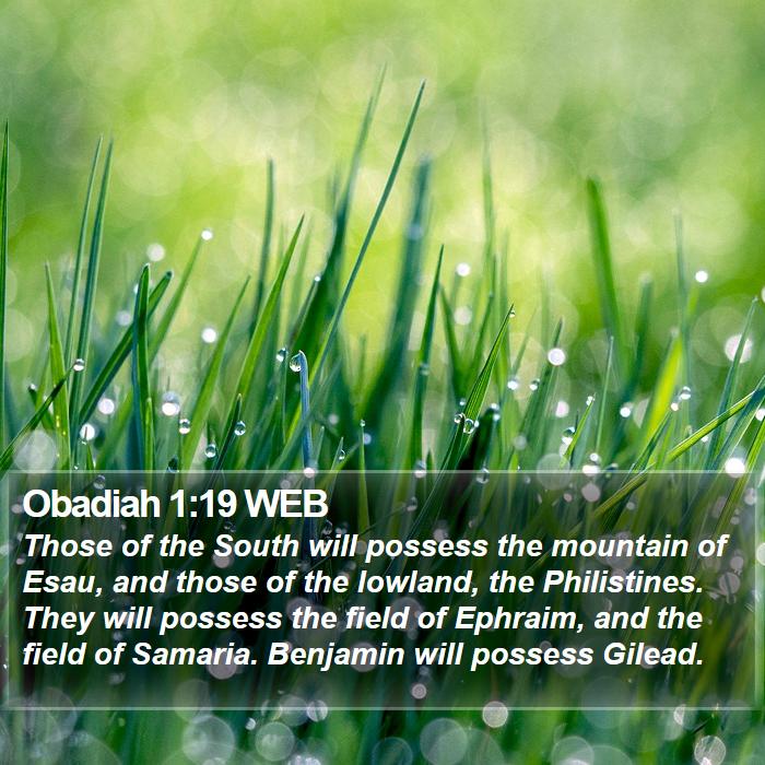 Obadiah 1:19 WEB Bible Study