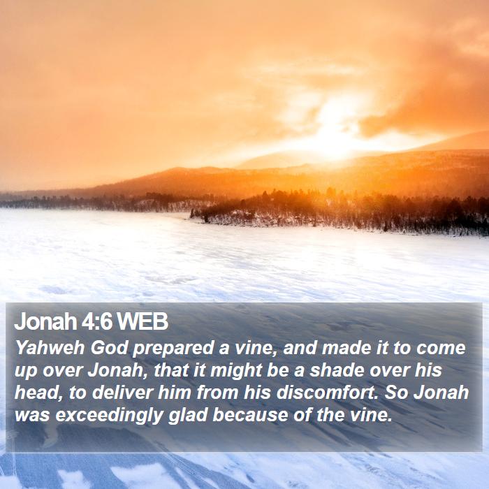 Jonah 4:6 WEB Bible Study