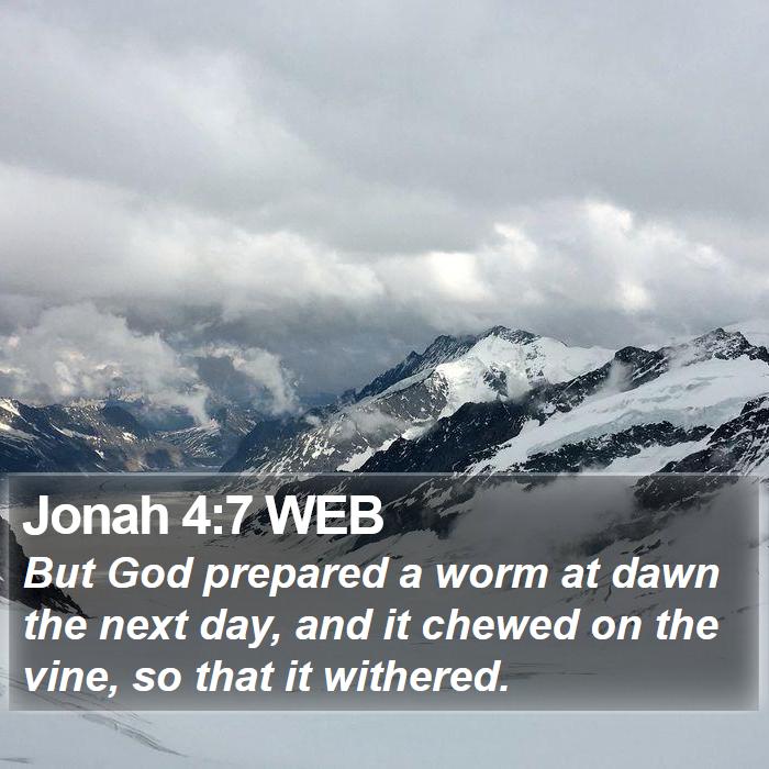 Jonah 4:7 WEB Bible Study