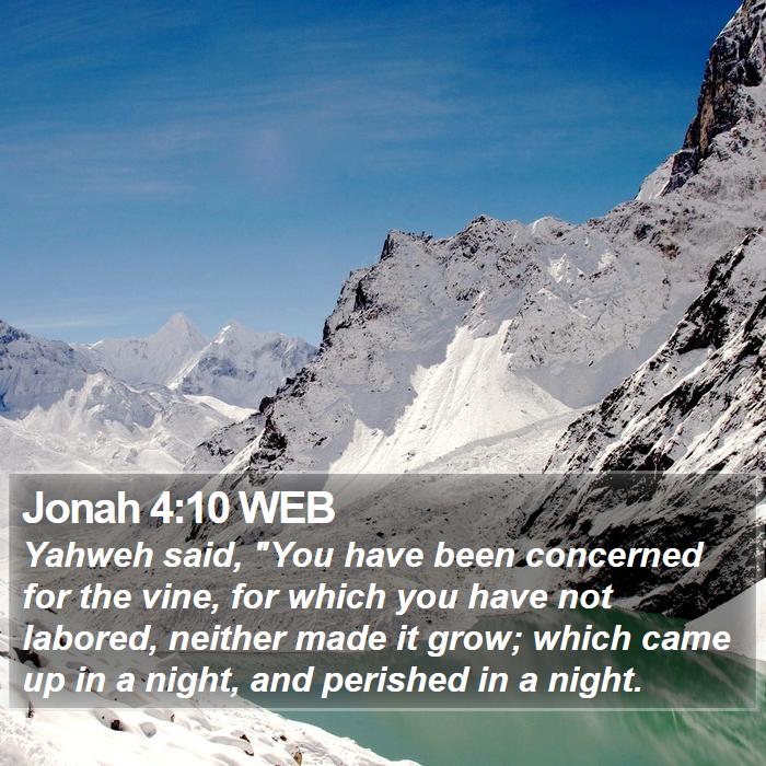 Jonah 4:10 WEB Bible Study