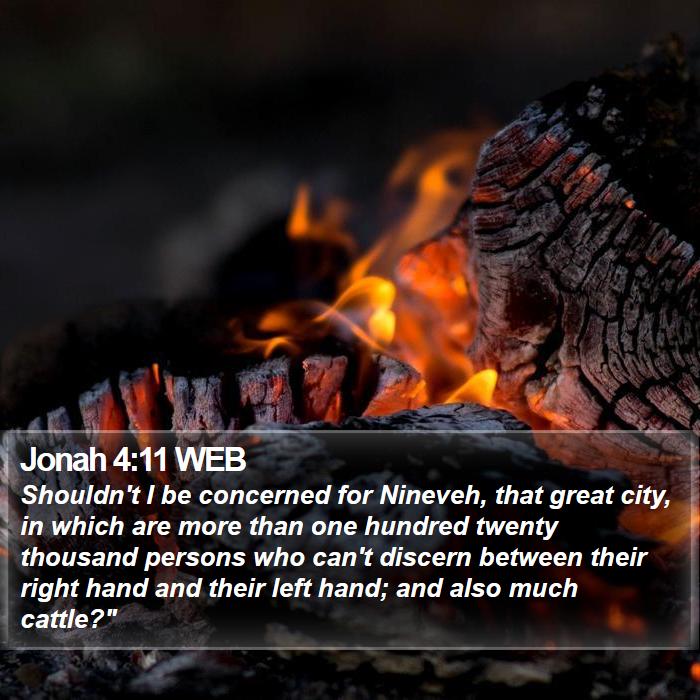 Jonah 4:11 WEB Bible Study