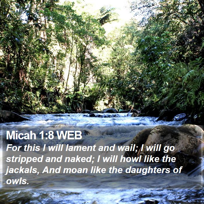 Micah 1:8 WEB Bible Study