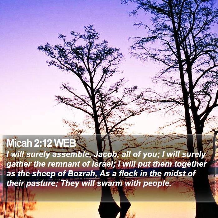 Micah 2:12 WEB Bible Study