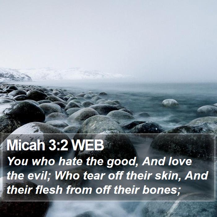 Micah 3:2 WEB Bible Study