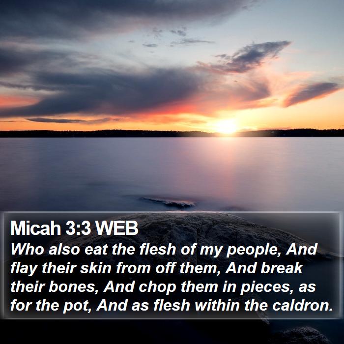 Micah 3:3 WEB Bible Study