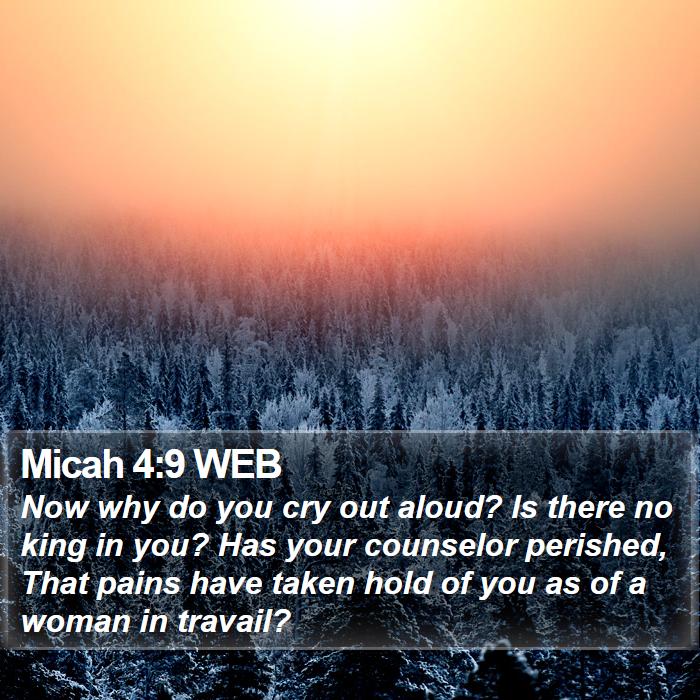 Micah 4:9 WEB Bible Study