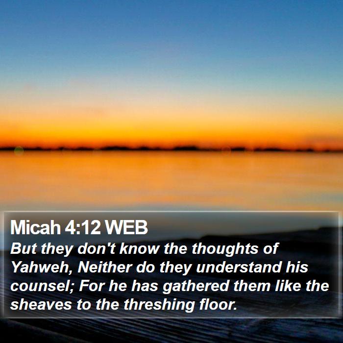 Micah 4:12 WEB Bible Study