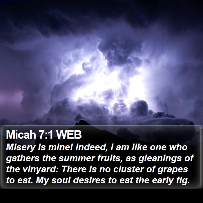 Micah 7:1 WEB Bible Study