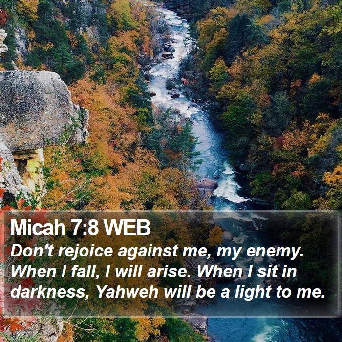 Micah 7:8 WEB Bible Study