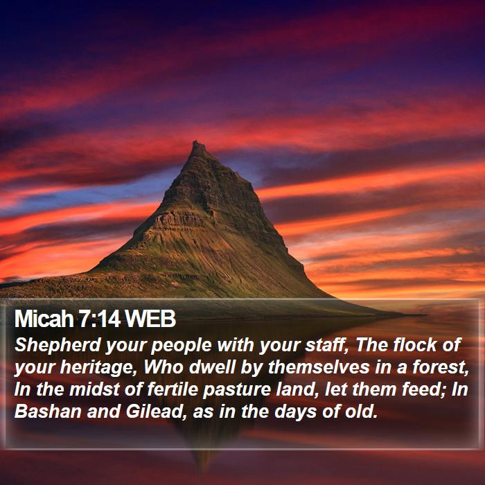 Micah 7:14 WEB Bible Study