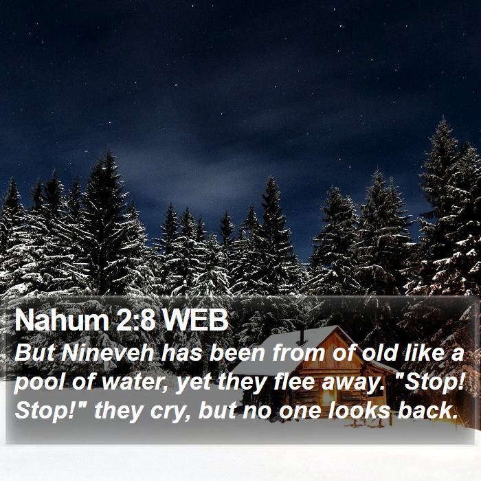 Nahum 2:8 WEB Bible Study