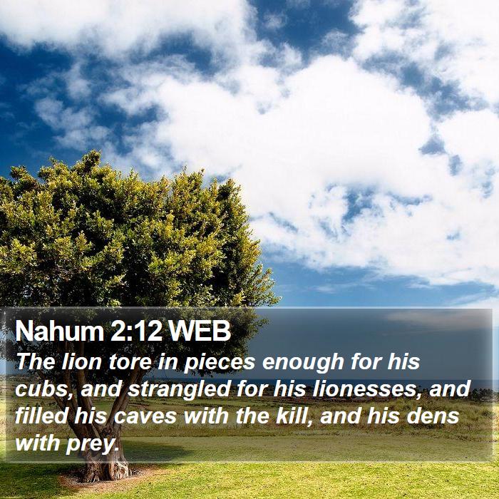 Nahum 2:12 WEB Bible Study