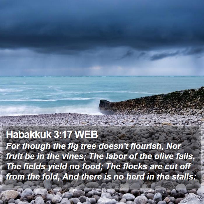 Habakkuk 3:17 WEB Bible Study