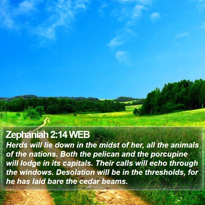 Zephaniah 2:14 WEB Bible Study