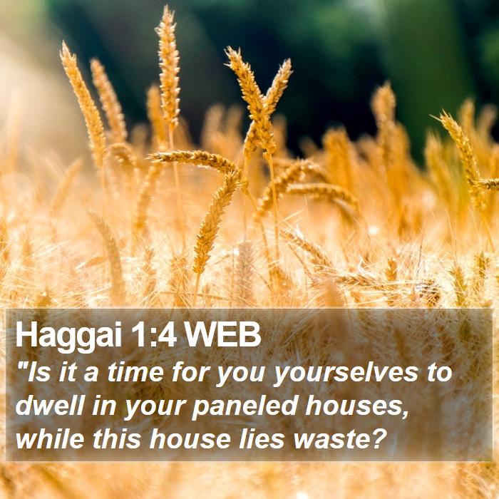 Haggai 1:4 WEB Bible Study