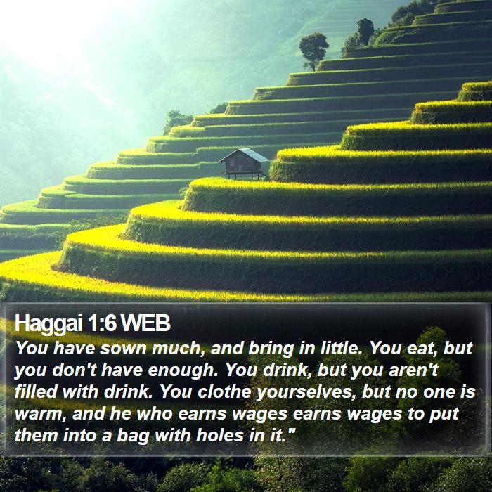 Haggai 1:6 WEB Bible Study