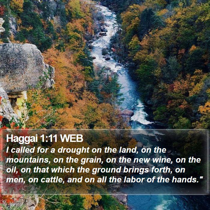 Haggai 1:11 WEB Bible Study