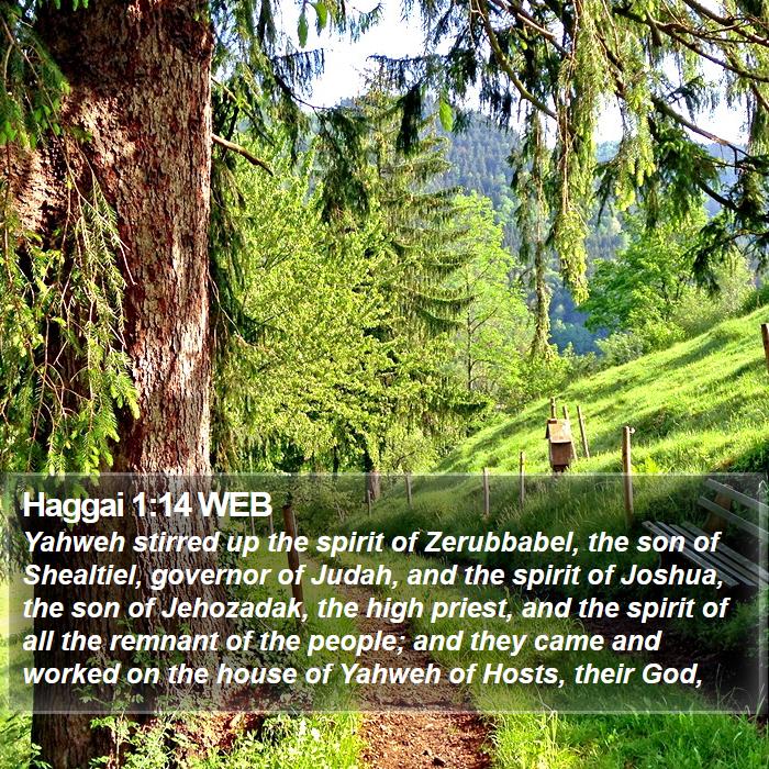 Haggai 1:14 WEB Bible Study