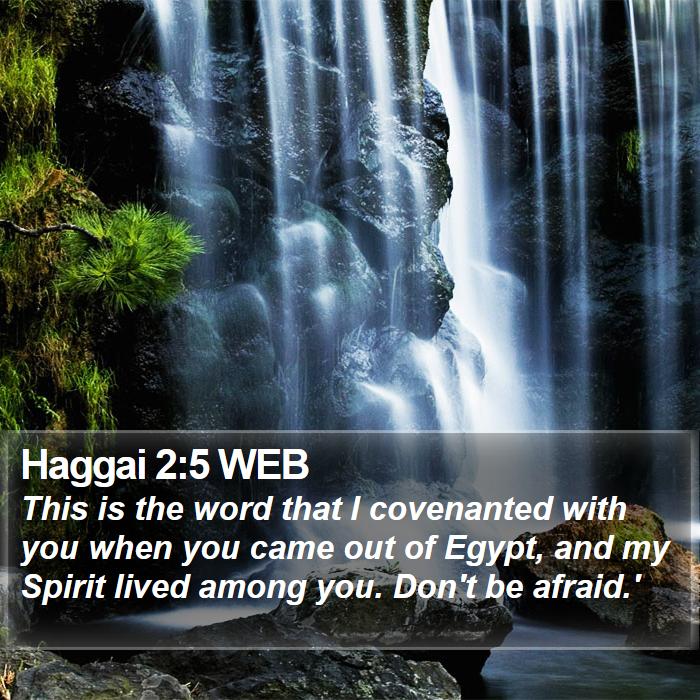 Haggai 2:5 WEB Bible Study