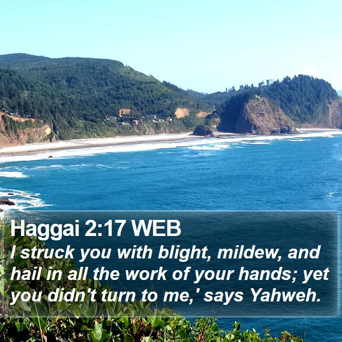 Haggai 2:17 WEB Bible Study