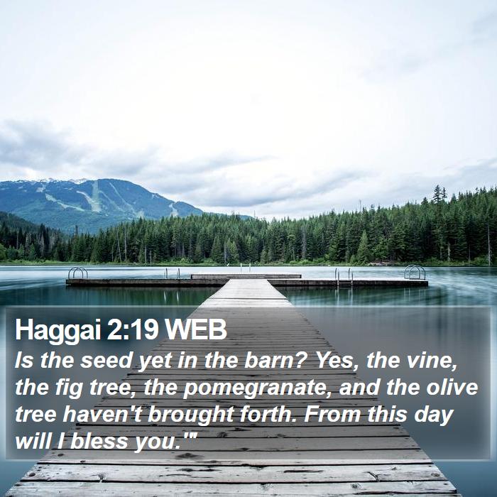 Haggai 2:19 WEB Bible Study