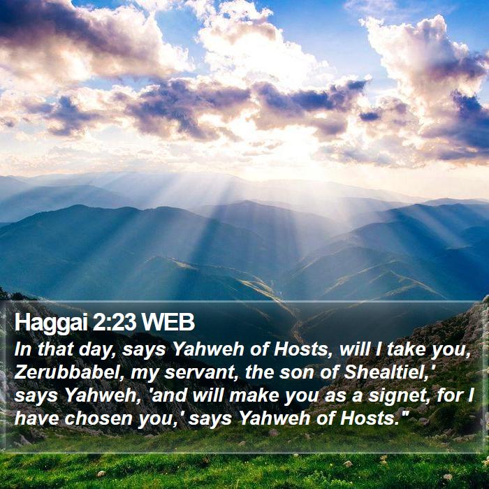 Haggai 2:23 WEB Bible Study