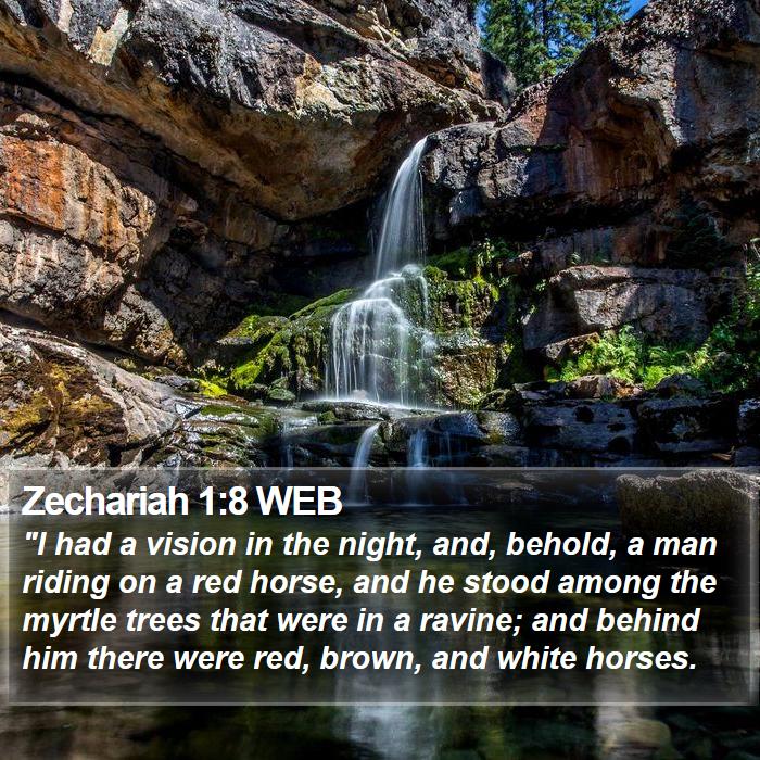 Zechariah 1:8 WEB Bible Study