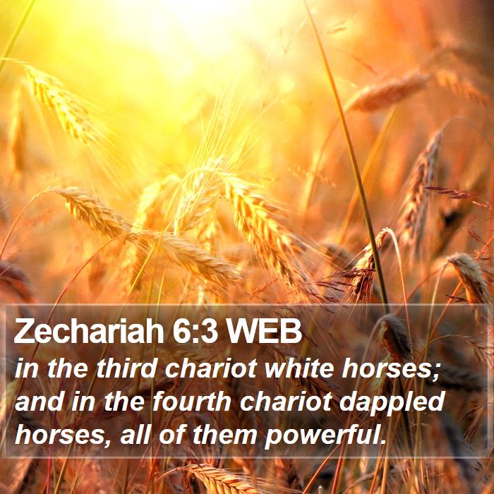 Zechariah 6:3 WEB Bible Study