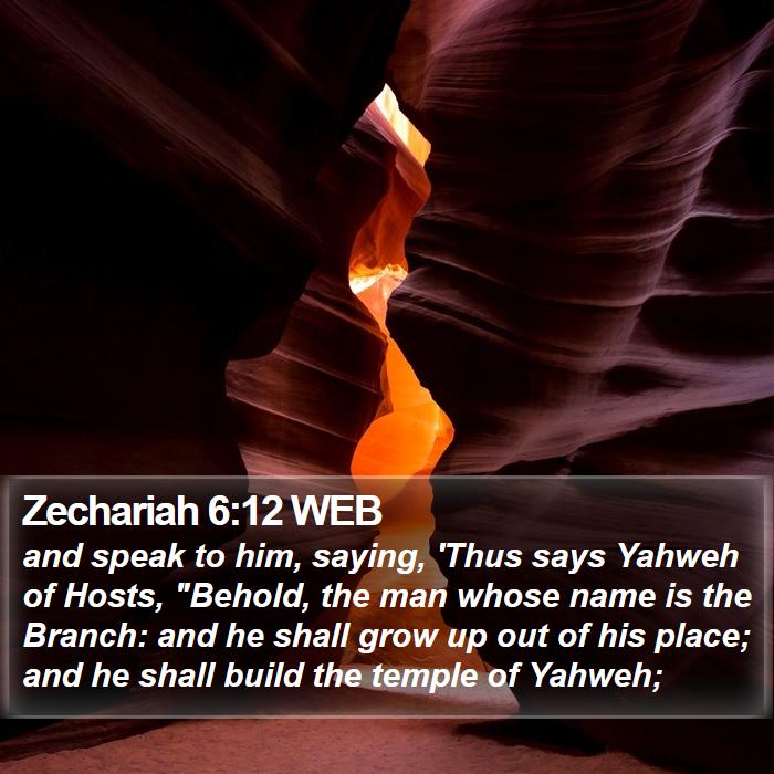 Zechariah 6:12 WEB Bible Study