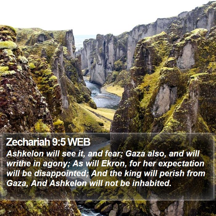 Zechariah 9:5 WEB Bible Study