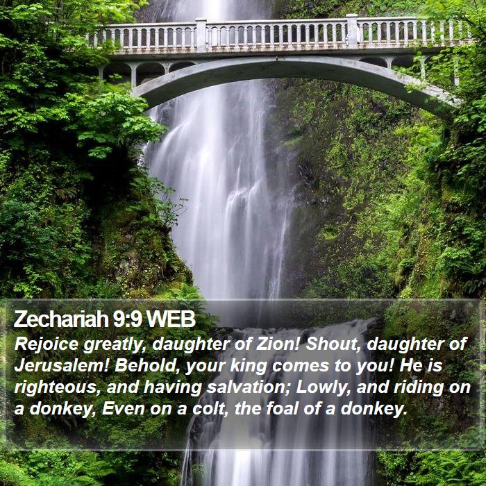 Zechariah 9:9 WEB Bible Study