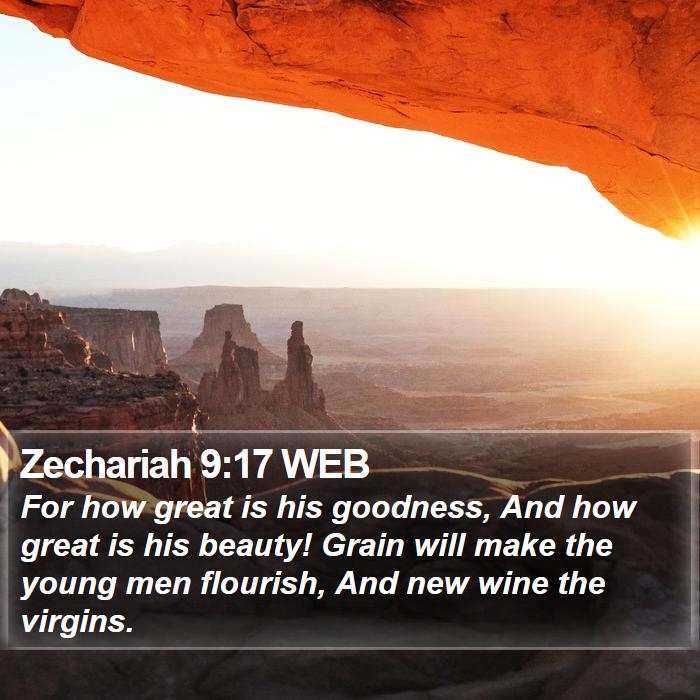 Zechariah 9:17 WEB Bible Study