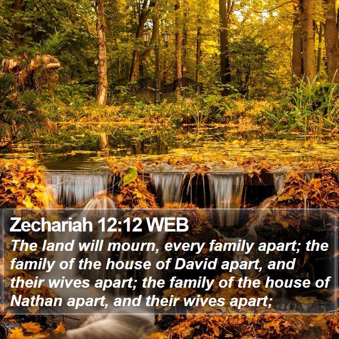 Zechariah 12:12 WEB Bible Study