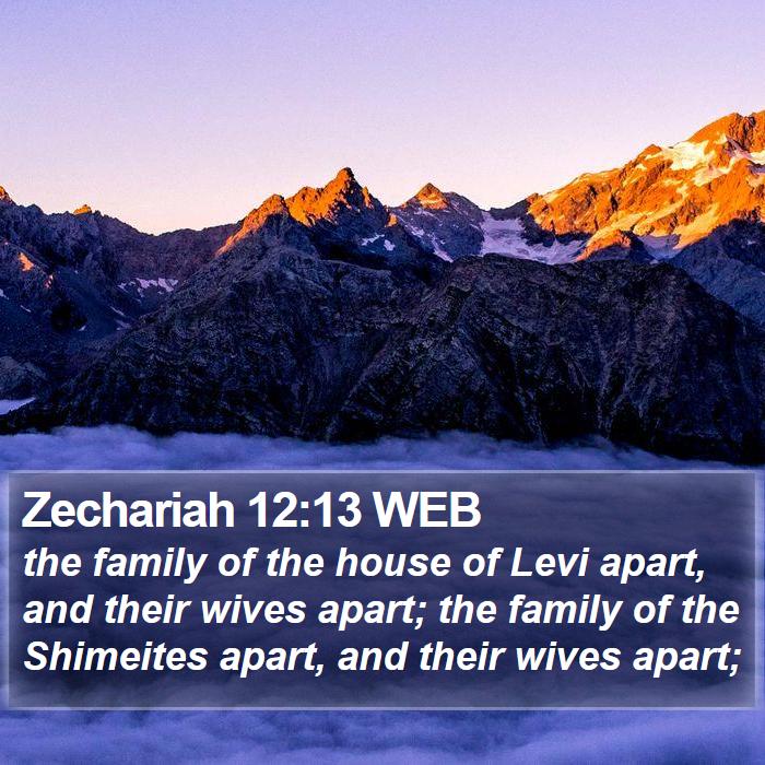 Zechariah 12:13 WEB Bible Study