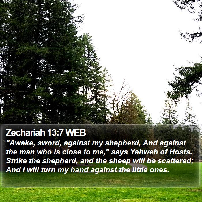 Zechariah 13:7 WEB Bible Study