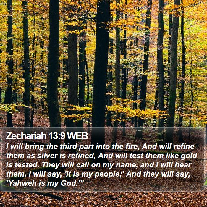 Zechariah 13:9 WEB Bible Study