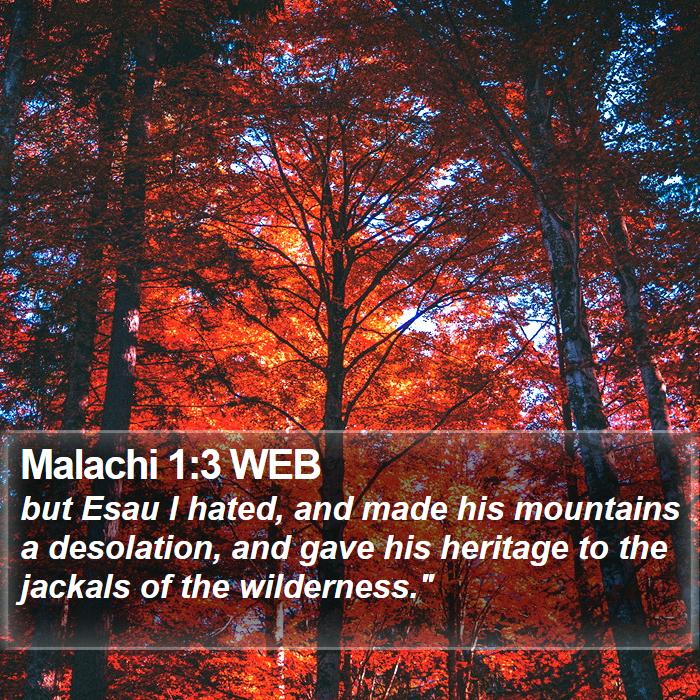 Malachi 1:3 WEB Bible Study