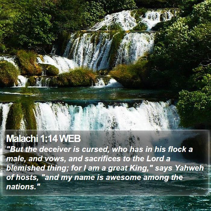 Malachi 1:14 WEB Bible Study