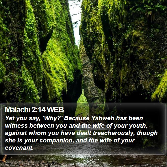 Malachi 2:14 WEB Bible Study