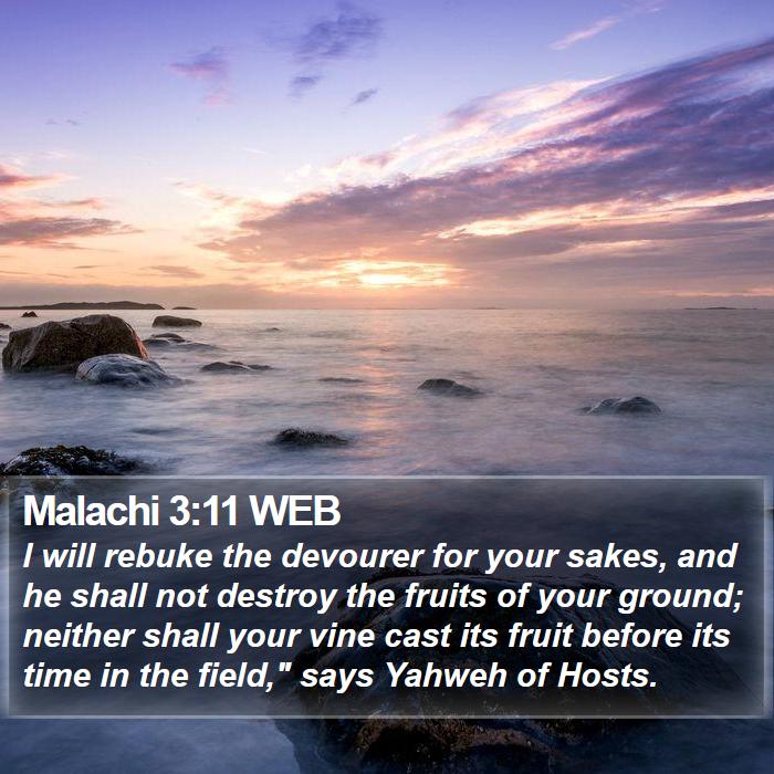 Malachi 3:11 WEB Bible Study