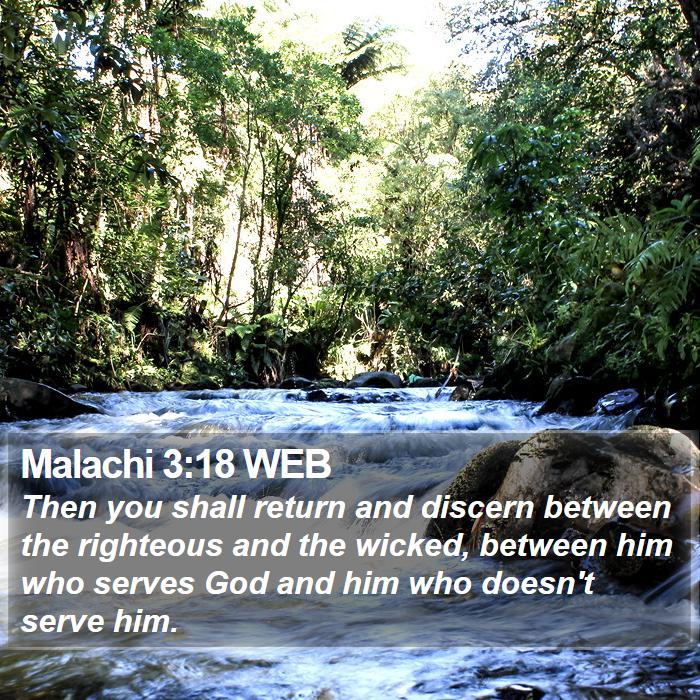 Malachi 3:18 WEB Bible Study