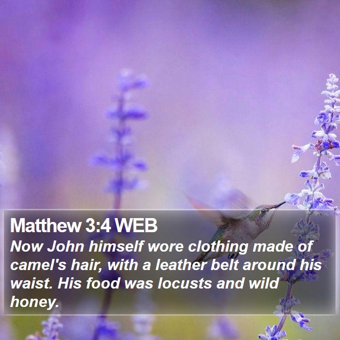 Matthew 3:4 WEB Bible Study