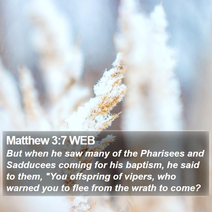 Matthew 3:7 WEB Bible Study