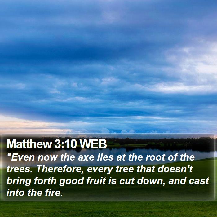 Matthew 3:10 WEB Bible Study