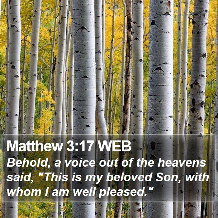 Matthew 3:17 WEB Bible Study