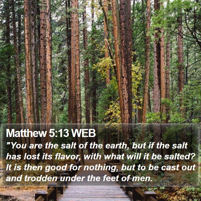 Matthew 5:13 WEB Bible Study