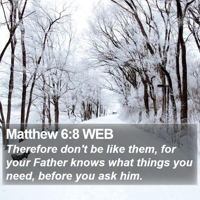 Matthew 6:8 WEB Bible Study