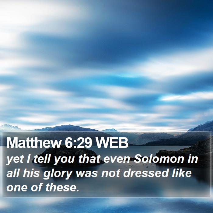 Matthew 6:29 WEB Bible Study