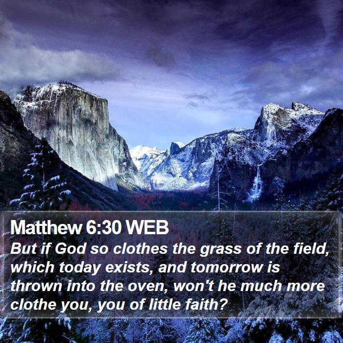 Matthew 6:30 WEB Bible Study