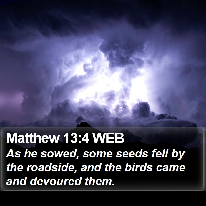 Matthew 13:4 WEB Bible Study